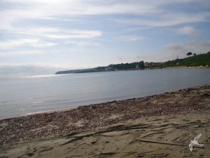 2013 Καθαρισμός παραλίας Γάιδαρος