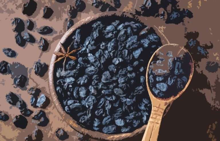 Γιορτή Μαύρης Σταφίδας 2023