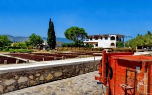 2015 Γιορτή Μαύρης Σταφίδας