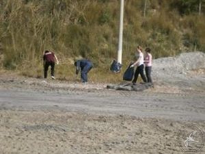 2013 Καθαρισμός παραλίας Γάιδαρος