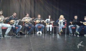 2014 Πρόβες Μαντολινάτας