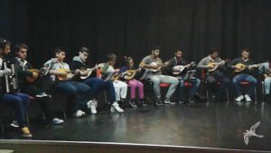 2014 Πρόβες Μαντολινάτας