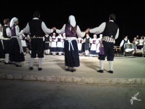 2010 Βραδιά Παράδοσης | Θέατρο Δερματούσας