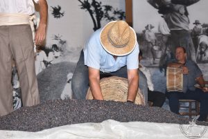 2018 Γιορτή Μαύρης Σταφίδας