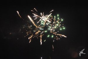 2015 Γιορτή Μαύρης Σταφίδας