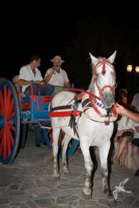 2013 Γιορτή Μαύρης Σταφίδας