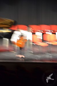 2015 “Η μουσική είναι το σπίτι μας”