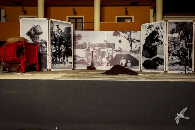 2016 Γιορτή Μαύρης Σταφίδας