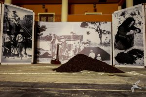 2016 Γιορτή Μαύρης Σταφίδας