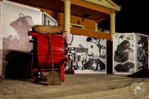 2016 Γιορτή Μαύρης Σταφίδας