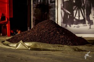 2016 Γιορτή Μαύρης Σταφίδας