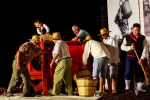 2016 Γιορτή Μαύρης Σταφίδας