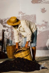 2016 Γιορτή Μαύρης Σταφίδας