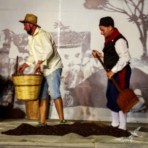 2016 Γιορτή Μαύρης Σταφίδας