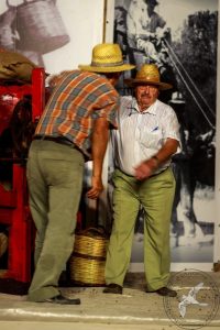 2016 Γιορτή Μαύρης Σταφίδας