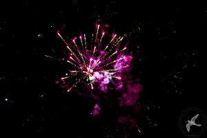 2016 Γιορτή Μαύρης Σταφίδας