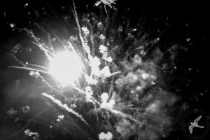 2016 Γιορτή Μαύρης Σταφίδας