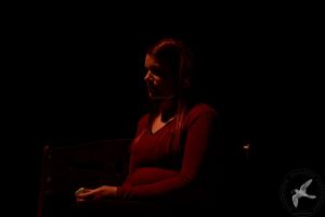 2016 “Το ημερολόγιο της προσφυγιάς”