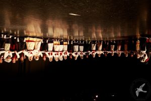 2016 “Το ημερολόγιο της προσφυγιάς”