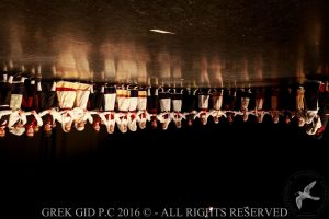 2016 Πρωτοχρονιάτικη Εκδήλωση