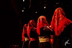 2017 “Χορεύω, παίζω και σου τραγουδώ”