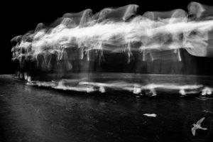 2016 “Χορεύω, παίζω και σου τραγουδώ”