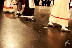 2016 “Χορεύω, παίζω και σου τραγουδώ”