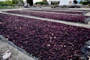 2017 Γιορτή Μαύρης Σταφίδας