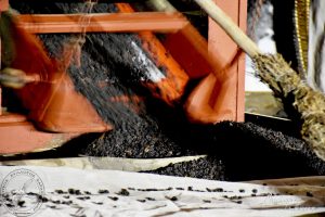 2017 Γιορτή Μαύρης Σταφίδας