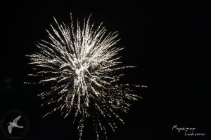 2017 Γιορτή Μαύρης Σταφίδας