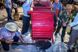 2019 Γιορτή Μαύρης Σταφίδας