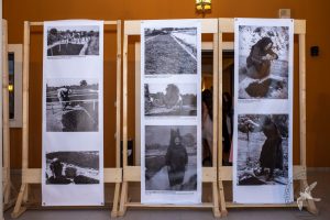 2019 Γιορτή Μαύρης Σταφίδας