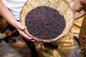 2019 Γιορτή Μαύρης Σταφίδας