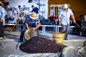 2019 Γιορτή Μαύρης Σταφίδας