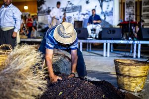 2019 Γιορτή Μαύρης Σταφίδας