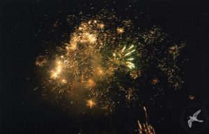 2006 Γιορτή Μαύρης Σταφίδας